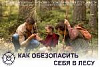 Как обезопасить себя в лесу Как обезопасить себя в лесу